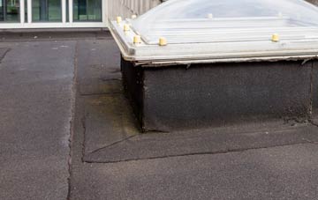 disadvantages of Dalham flat roofs