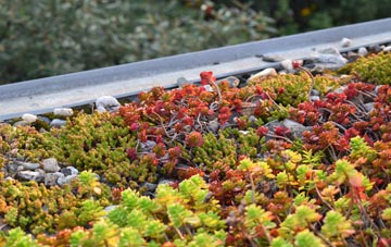 the cost of Dalham green roof installation