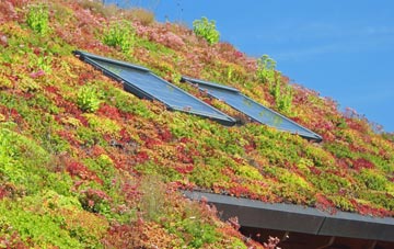 Dalham living roof systems